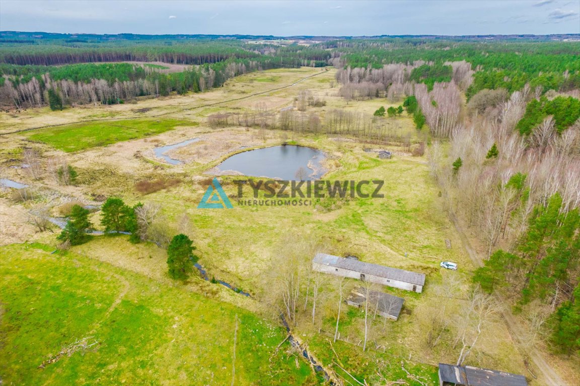 Działka rolna na sprzedaż Zielin  59 900m2 Foto 11