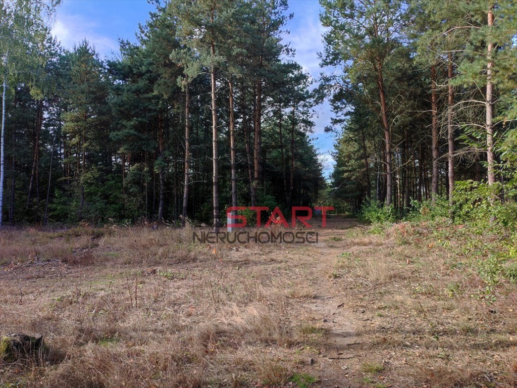 Działka budowlana na sprzedaż Osowiec  1 630m2 Foto 3