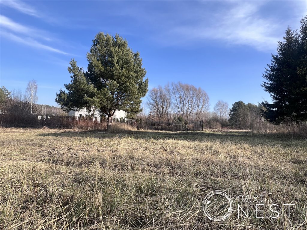 Działka budowlana na sprzedaż Borowina, Zaleśna  1 200m2 Foto 5