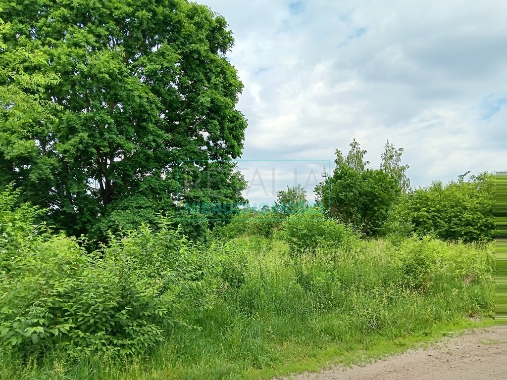 Działka budowlana na sprzedaż Żółwin  1 000m2 Foto 2