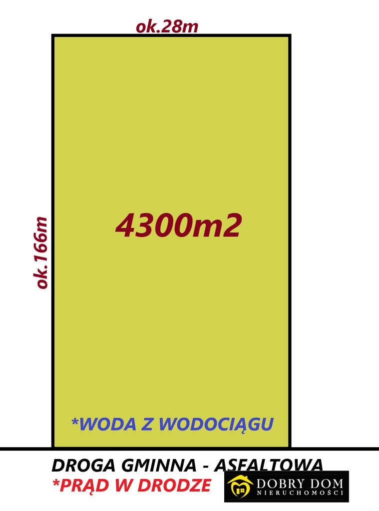 Na sprzedaż działka siedliskowa 43 arów z budynkami i potencjałem Szpaki  4 300m2 Foto 1