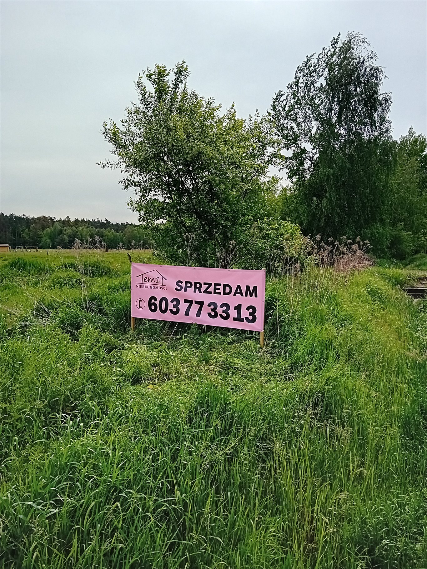 Działka budowlana na sprzedaż Tworóg Mały, Brzozowa  800m2 Foto 2