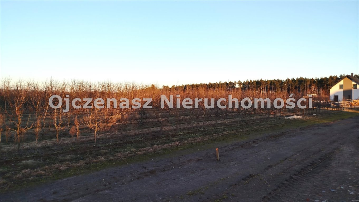 Malownicza działka 862 m² w Szczutkach – spokój i potencjał Szczutki  860m2 Foto 1