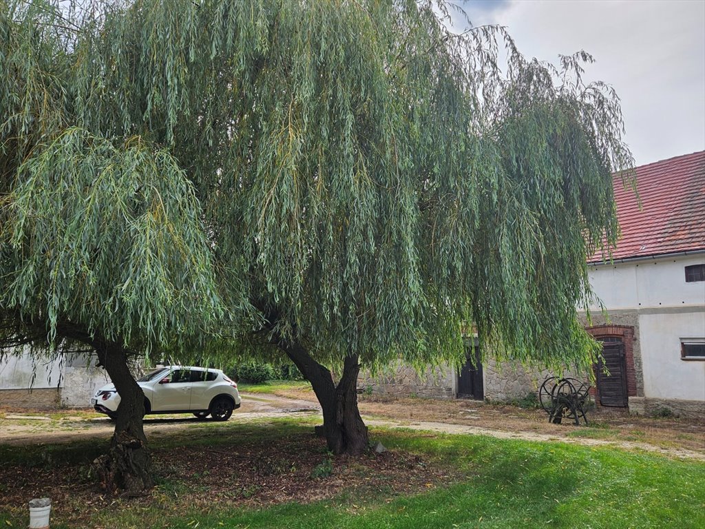 Mieszkanie czteropokojowe  na sprzedaż Wolbromek  110m2 Foto 10