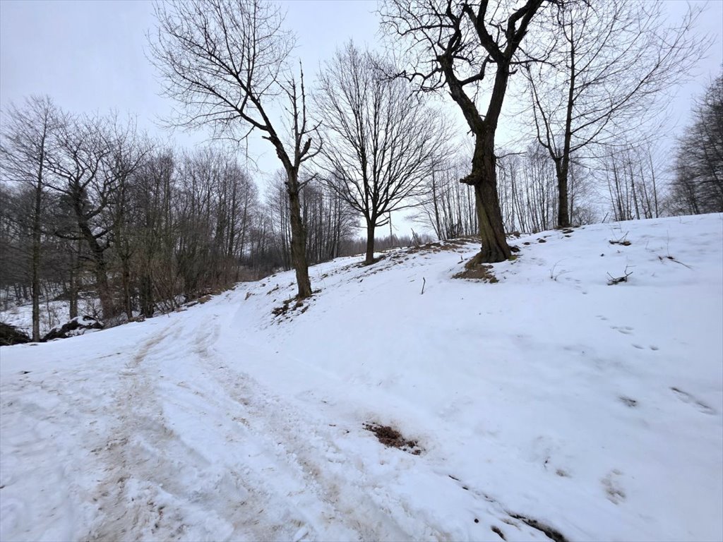 Działka budowlana 1800 m² z warunkami zabudowy, media w drodze Szkodna  1 800m2 Foto 1