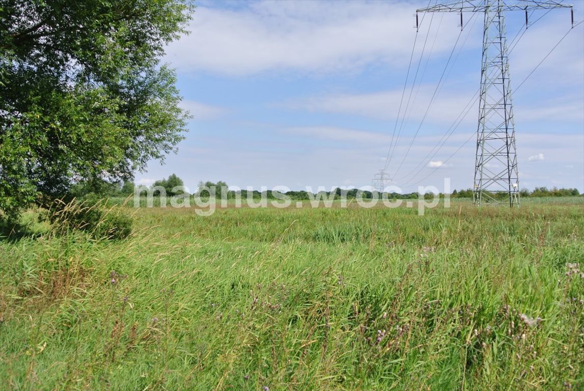 Działka rolna na sprzedaż Wrocław, Psie Pole, Kowale, okolice Chłopskiej  6 069m2 Foto 1