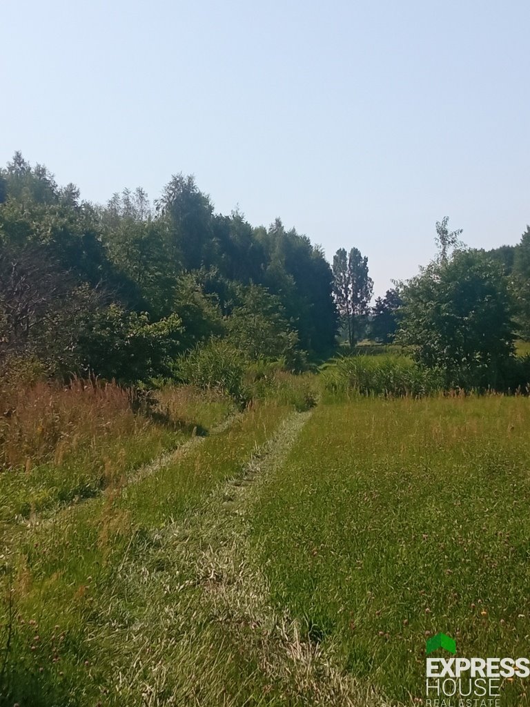 Działka rolna na sprzedaż Placydów  11 187m2 Foto 1