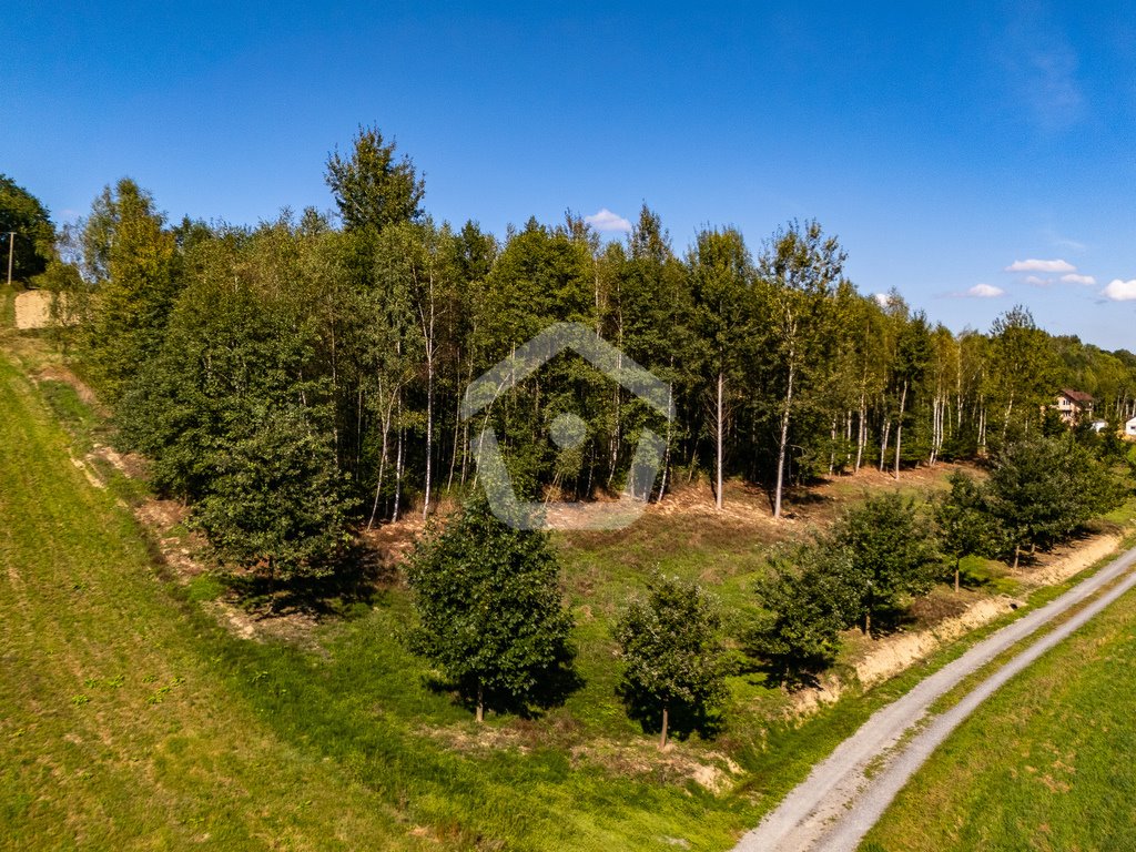 Na sprzedaż działka budowlana 3400 m² przy lesie w Zagorzycach Zagorzyce  3 400m2 Foto 1