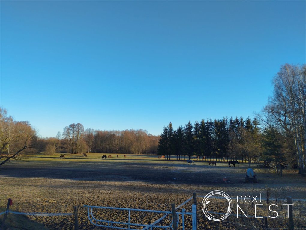 Działka siedliskowa na sprzedaż Wólka Kozodawska  19 200m2 Foto 2