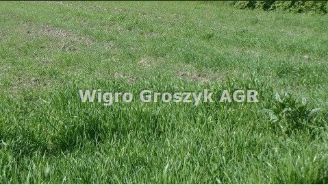 Działka pod zabudowę jednorodzinną, prąd, dojazd utwardzony Łomna, Łomna  1 369m2 Foto 1