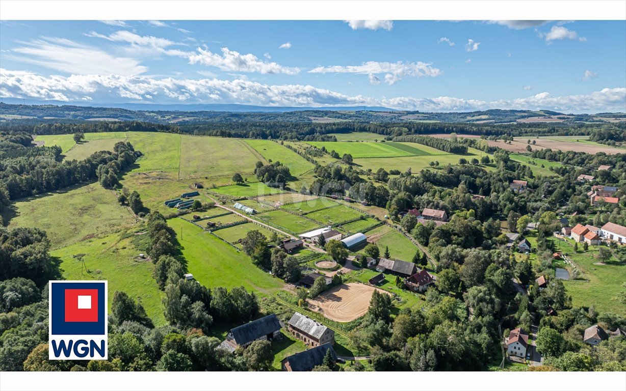 Działka siedliskowa na sprzedaż Marczów, Centrum  25 000m2 Foto 1