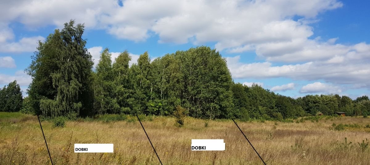 Działka budowlana na sprzedaż Dobki  2 500m2 Foto 8