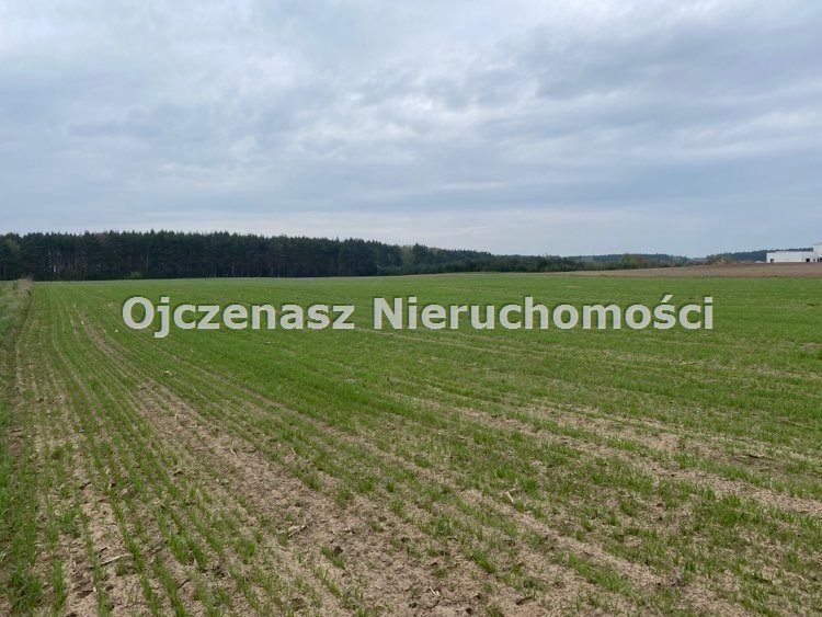 Działka 1527 m² z mediami i nowymi domami (Strzelce Górne) Strzelce Górne  1 527m2 Foto 1