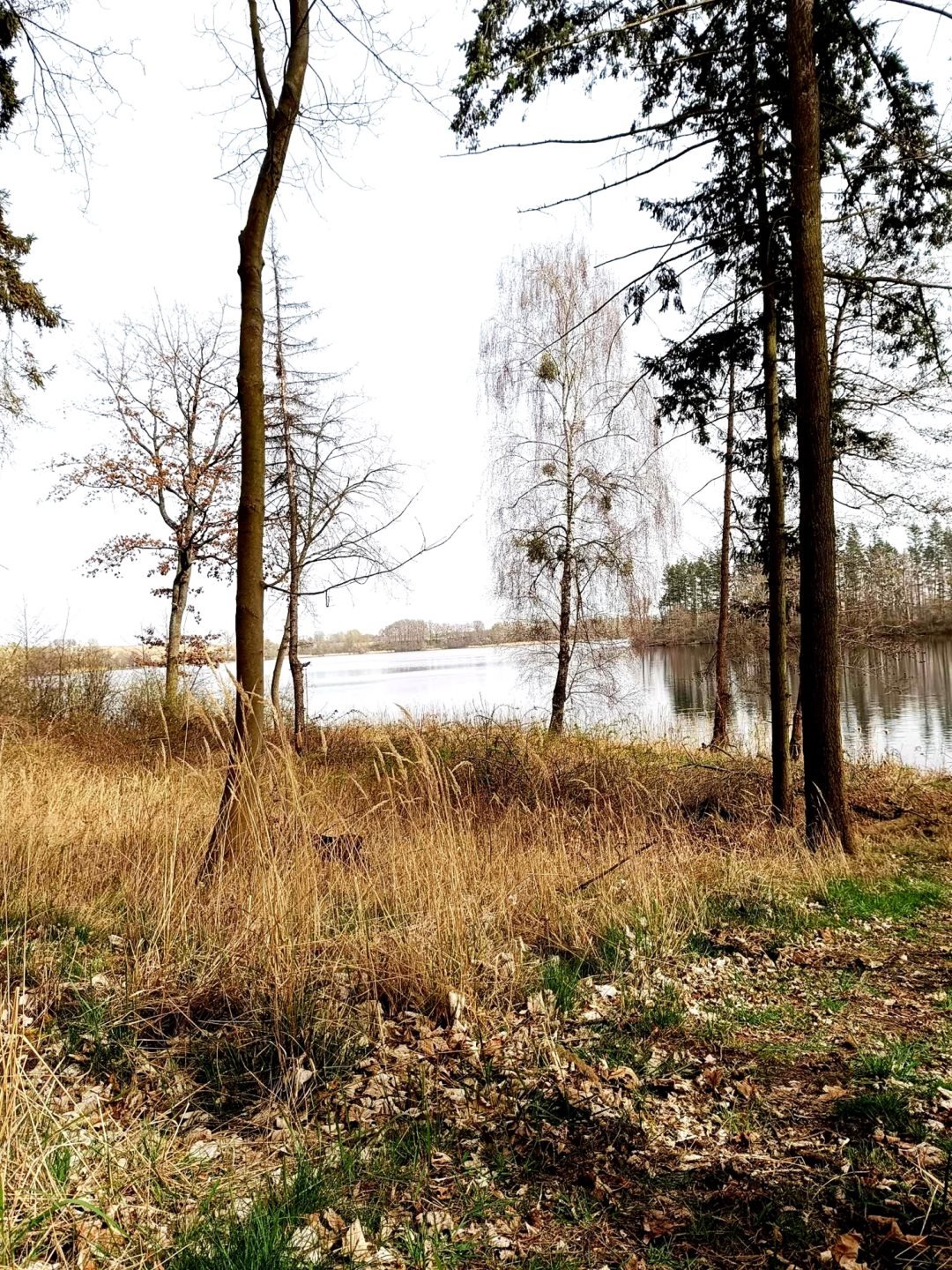 Działka budowlana na sprzedaż Lipiany  800m2 Foto 7