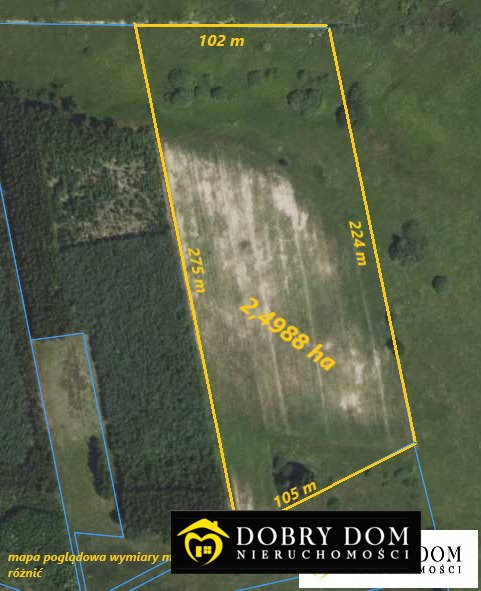 Działka 24 988 m² z uprawami i niską ceną Nurzec-Stacja  24 988m2 Foto 1