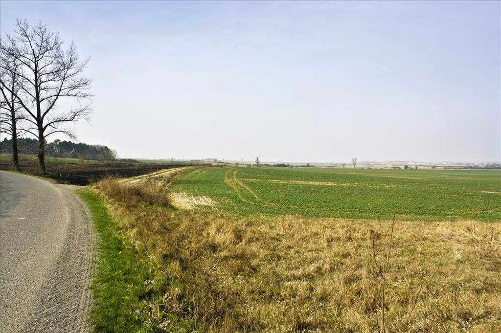 Działka inna na sprzedaż Kunice, Rosochata  1 300m2 Foto 4