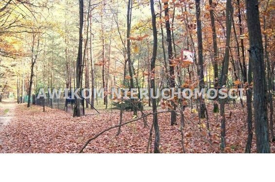 Działka budowlana na sprzedaż Radziejowice, Tartak Brzózki  1 700m2 Foto 2