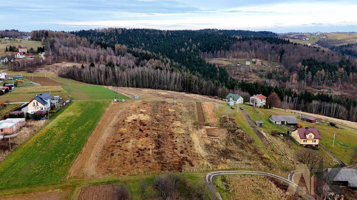 Działka budowlana na sprzedaż Paszyn  5 400m2 Foto 6