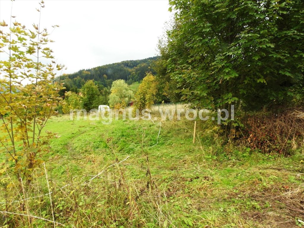 Działka budowlana na sprzedaż Łomnica  2 827m2 Foto 1