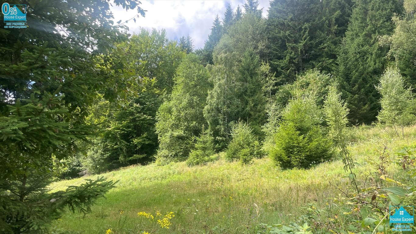 Działka 11 932 m² z możliwością zabudowy w Krynicy Zdrój - polecam! Krynica-Zdrój  11 932m2 Foto 1