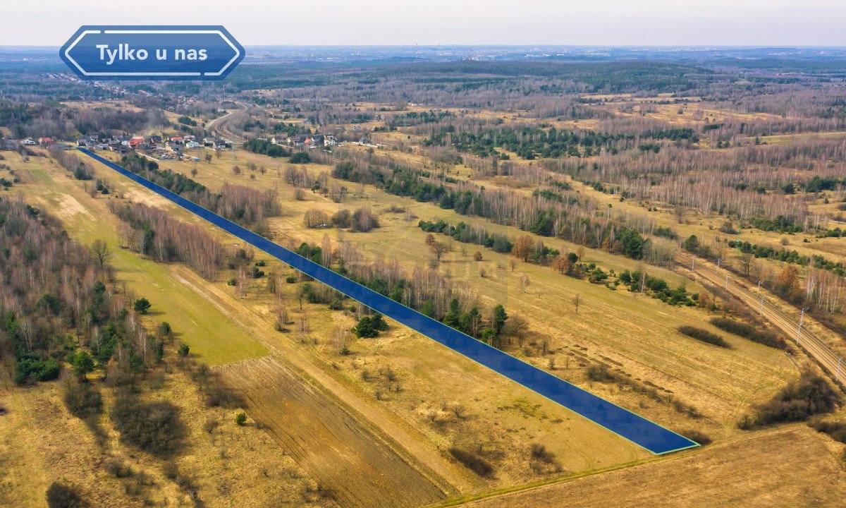 Działka budowlana na sprzedaż Kusięta  9 502m2 Foto 5