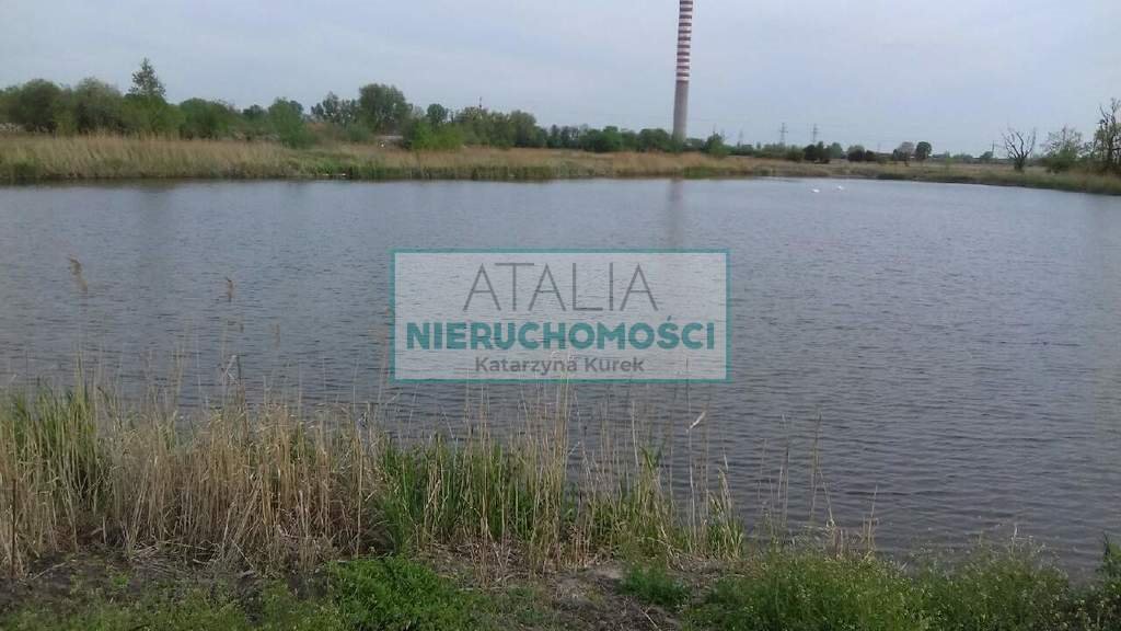 Zapraszam do zakupu działki 22 000 m² z dwoma stawami w Brwinowie Domaniewek  22 000m2 Foto 1