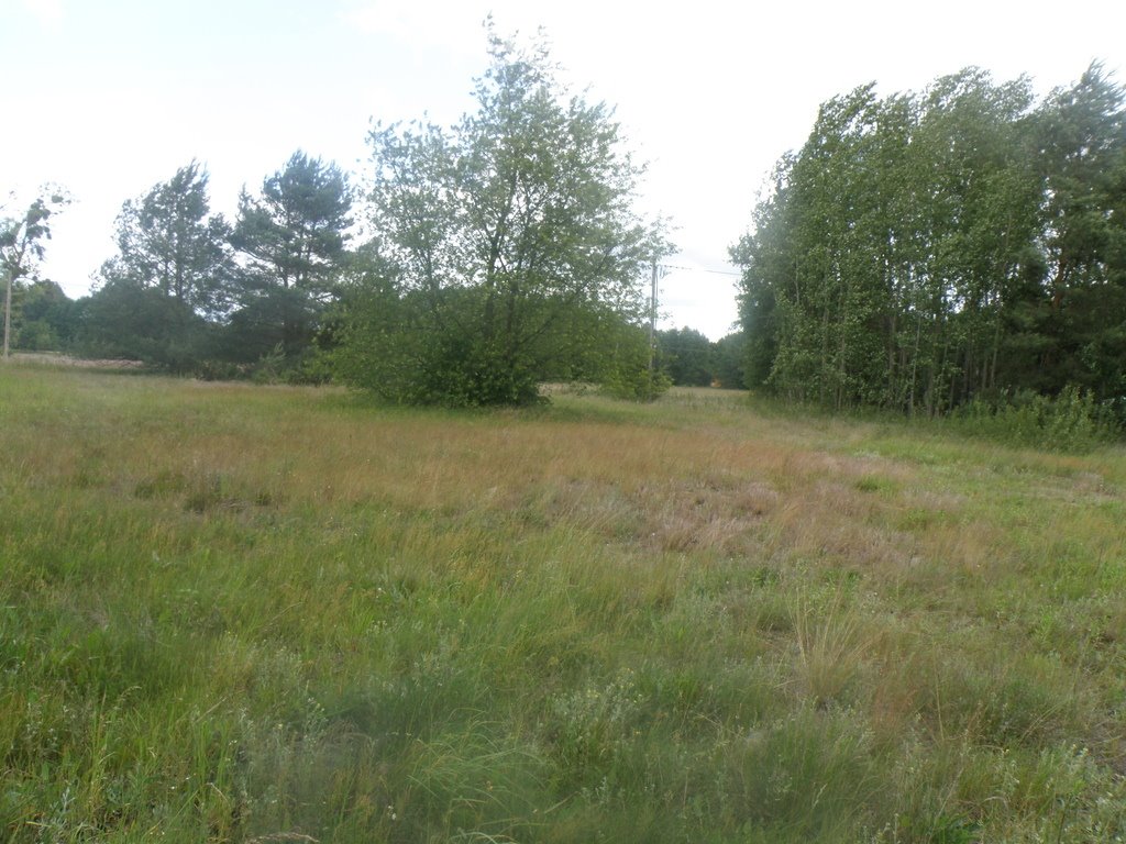 Działka budowlana na sprzedaż Czarne Błoto  3 362m2 Foto 1