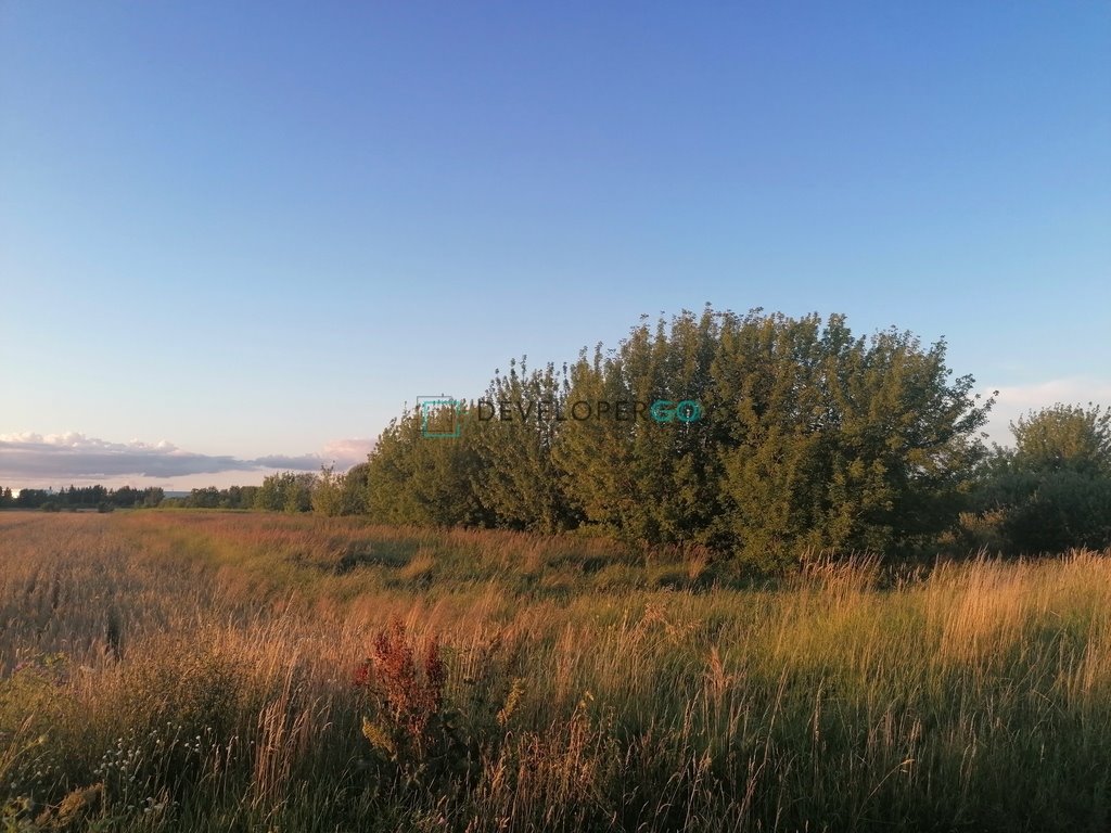 Działka komercyjna na sprzedaż Białki  38 810m2 Foto 3