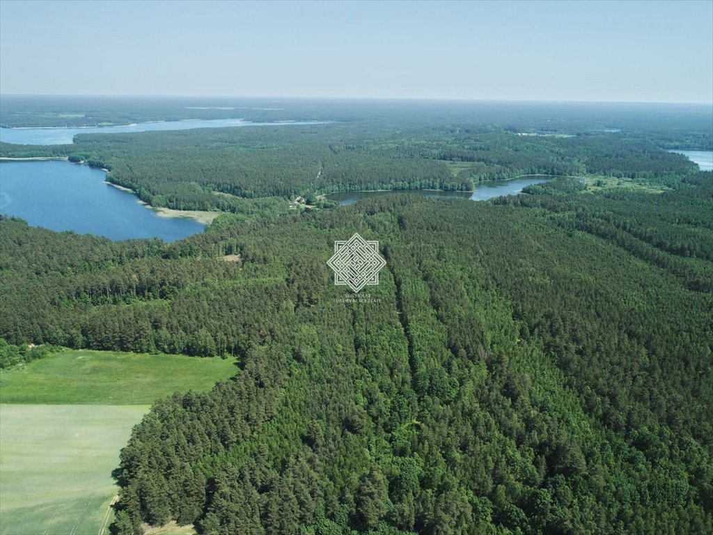 Działka inwestycyjna na sprzedaż Mierki  1 500m2 Foto 15