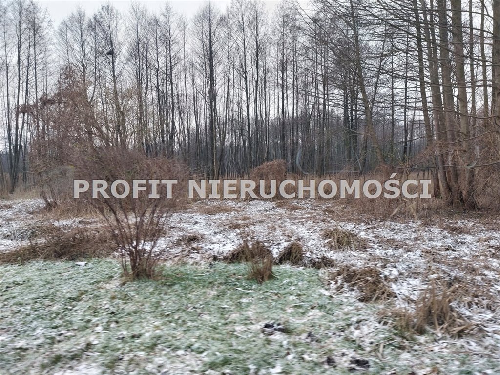 Działka na rekreację i inwestycję w Zelowie, 3293 m² Zelów, Łąkowa  3 293m2 Foto 1