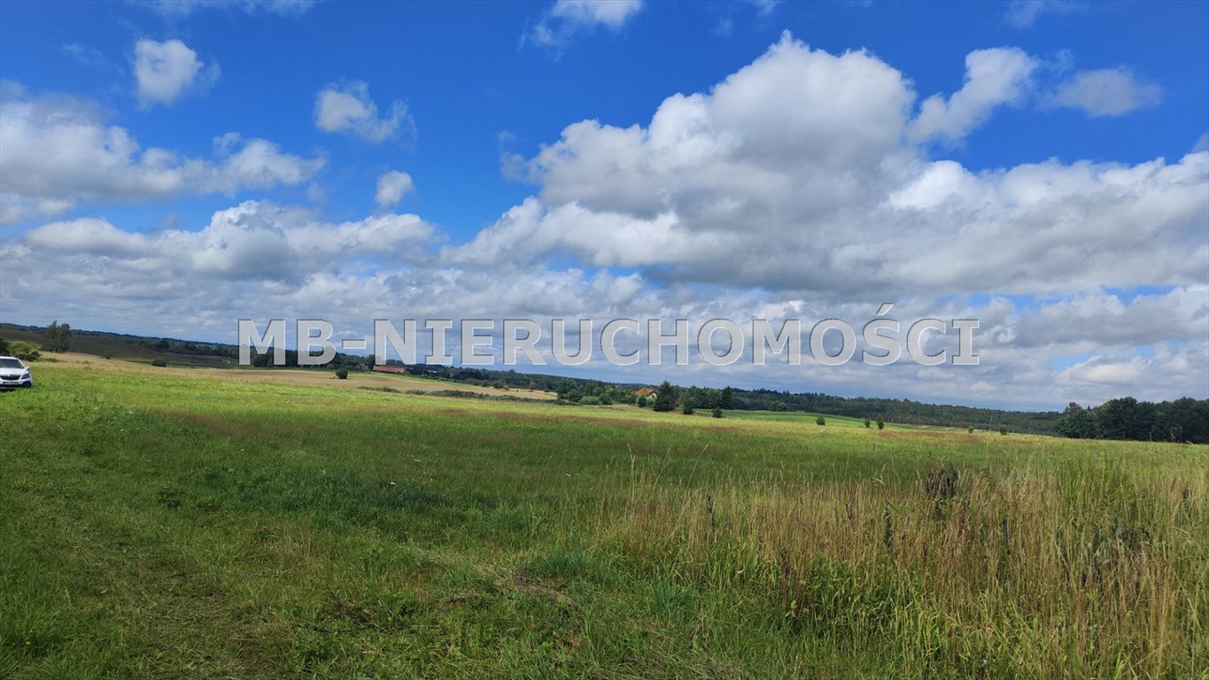 Działka rolna 5,4 ha z jeziorami, płaska, na sprzedaż Żardeniki  54 000m2 Foto 1