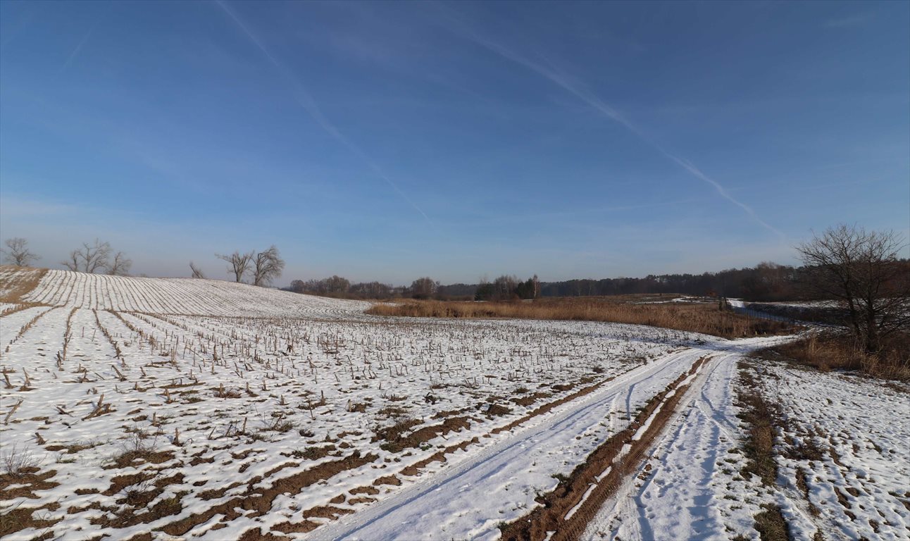 Działka rekreacyjna na sprzedaż Gąsawa, Oćwieka, nad rzeką okolice lasu jeziora 2 977m2 Foto 1 Działka rekreacyjna na sprzedaż Gąsawa, Oćwieka, nad rzeką okolice lasu jeziora 2 977m2 Foto 1