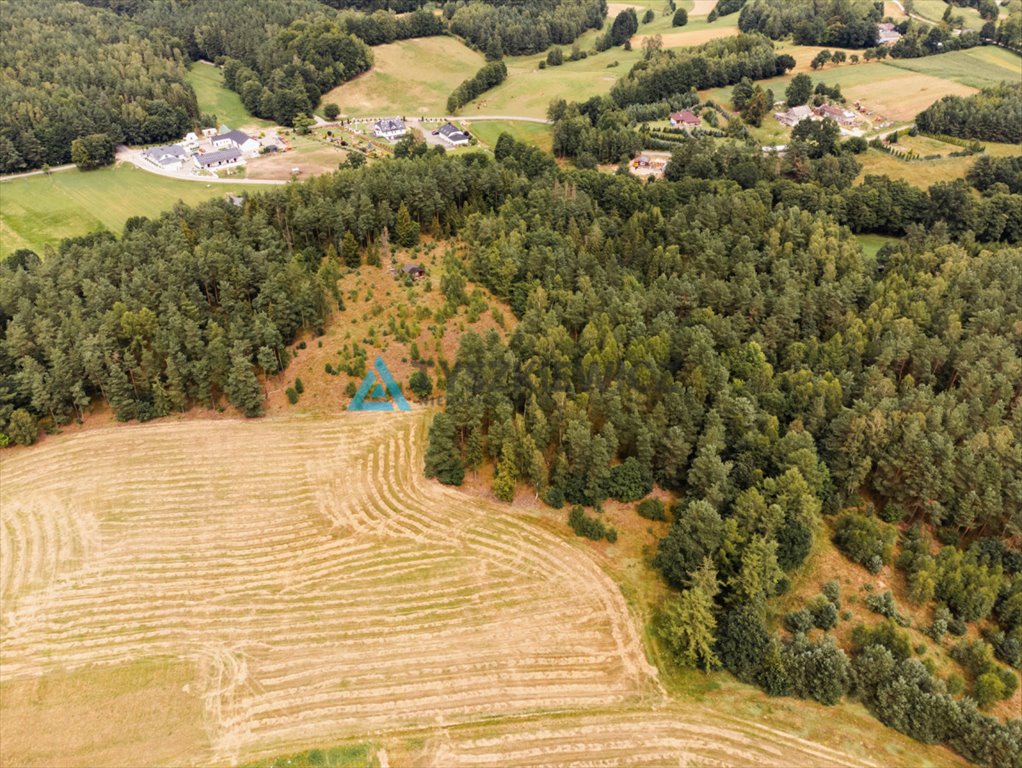 Działka rolna na sprzedaż Załęże, Kasztanowa  3 000m2 Foto 8