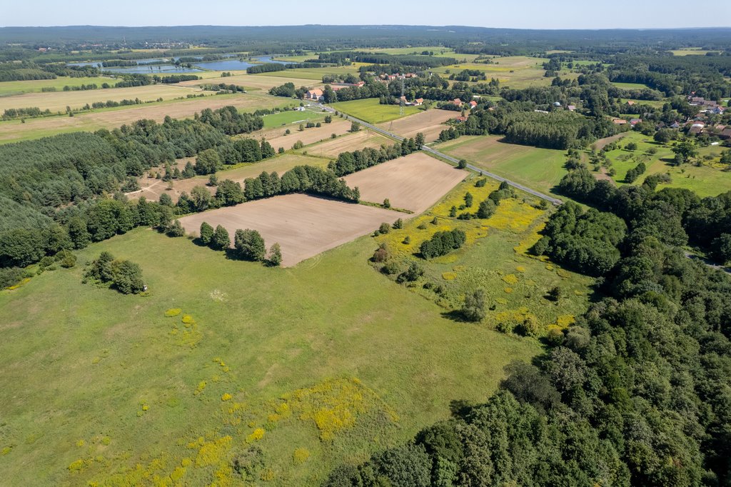 Działka inna na sprzedaż Kuźniczysko  9 900m2 Foto 5