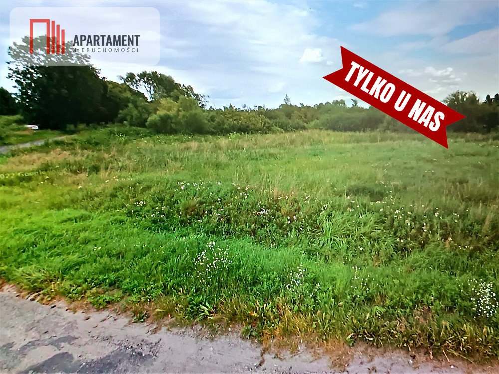 Do sprzedania działka rolna 19 300 m² z wodą i prądem Ludwikowo  19 300m2 Foto 1