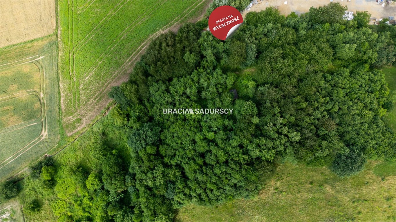 Działka inna na sprzedaż Biskupice  1 200m2 Foto 9