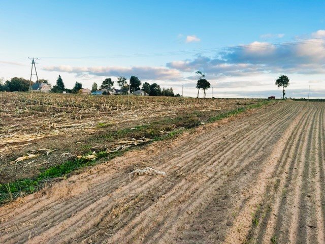 Działka budowlana na sprzedaż Nowa Tuchola, Sępoleńska  920m2 Foto 11