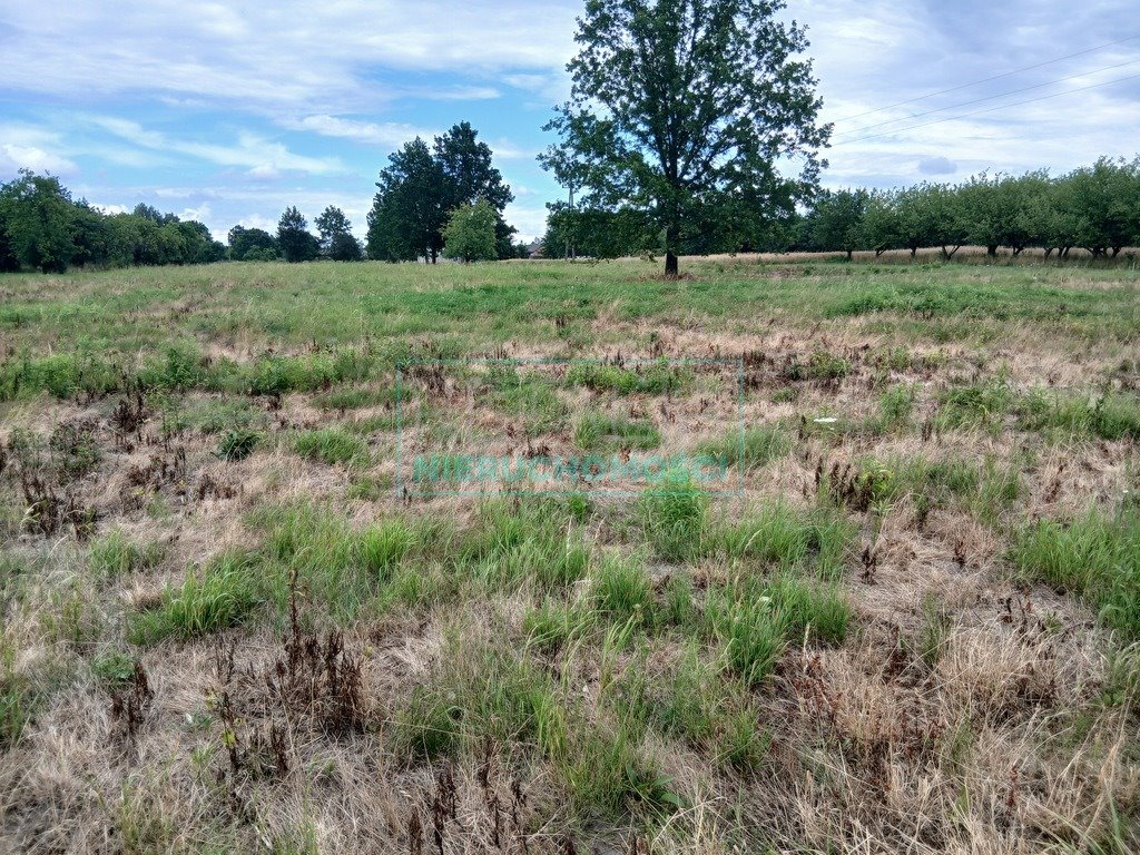 Działka budowlana na sprzedaż Ojrzanów  5 100m2 Foto 1