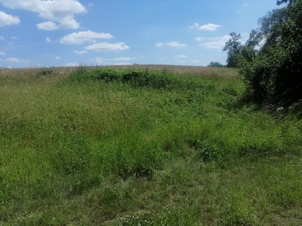 Działka rekreacyjna na sprzedaż Chłopowo  3 800m2 Foto 5