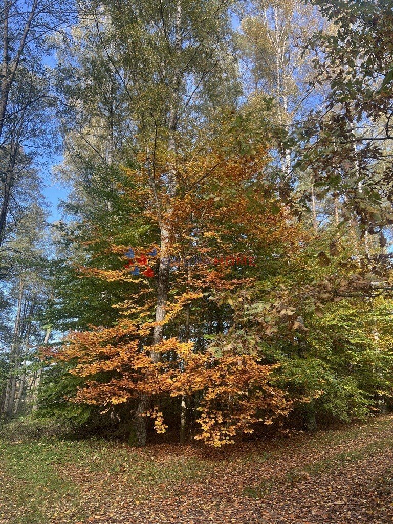 Zadrzewiona działka 1800 m2 z mediami i możliwością zabudowy Magdalenka  1 801m2 Foto 1