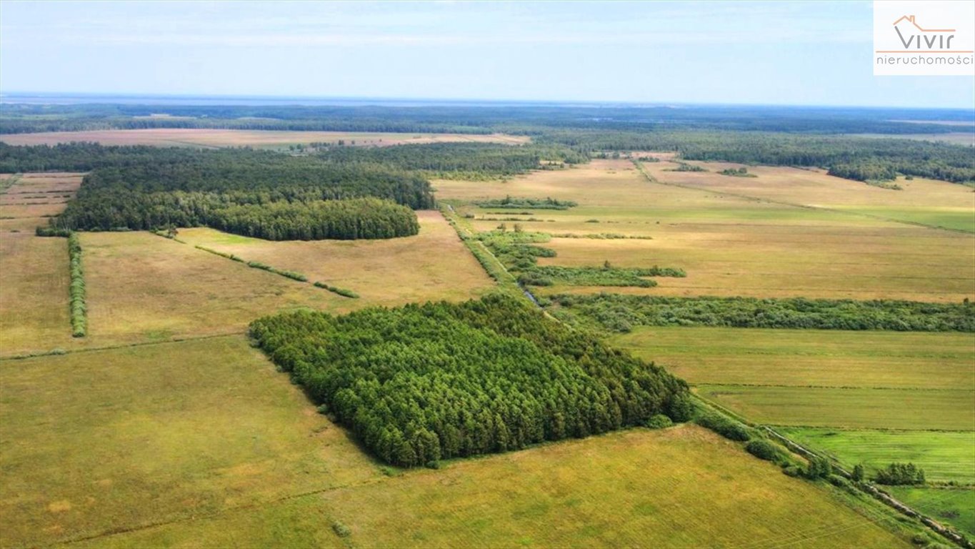 Działka inna na sprzedaż Rzuszcze  30 900m2 Foto 4