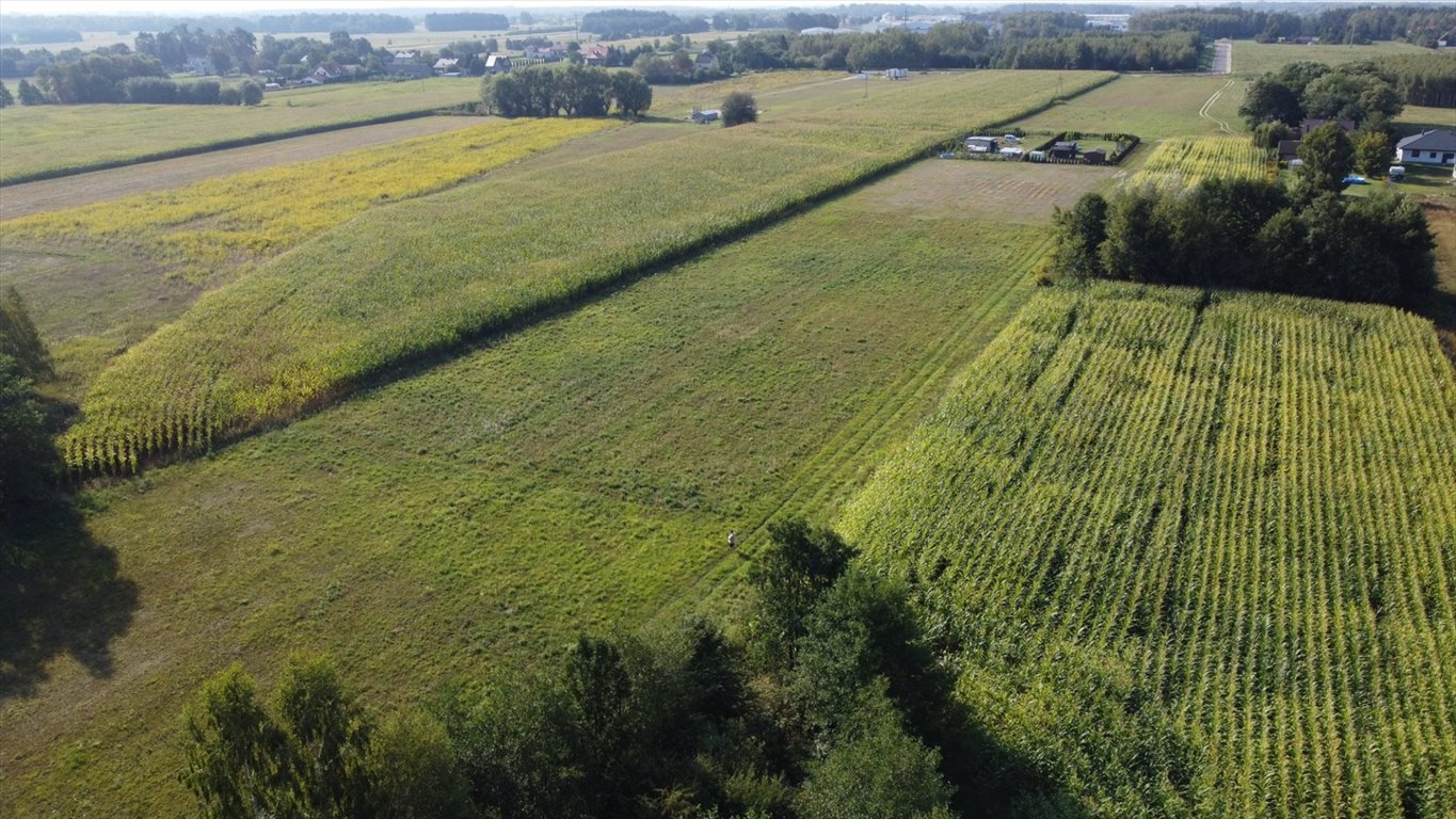 Działka rolna na sprzedaż Feliksów  5 568m2 Foto 12