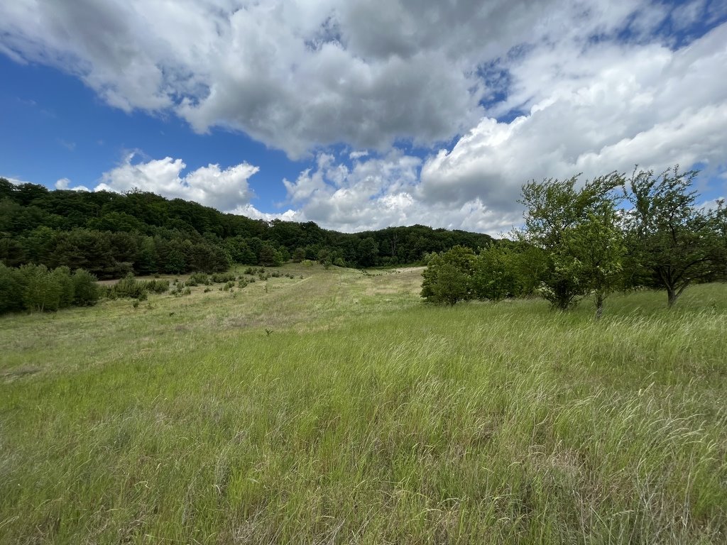 Działka budowlana na sprzedaż Bogdaniec  1 200m2 Foto 7