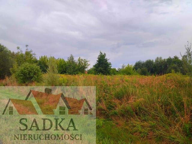 Działka budowlana na sprzedaż Budy Zosine, Generała Skokowskiego  8 765m2 Foto 1