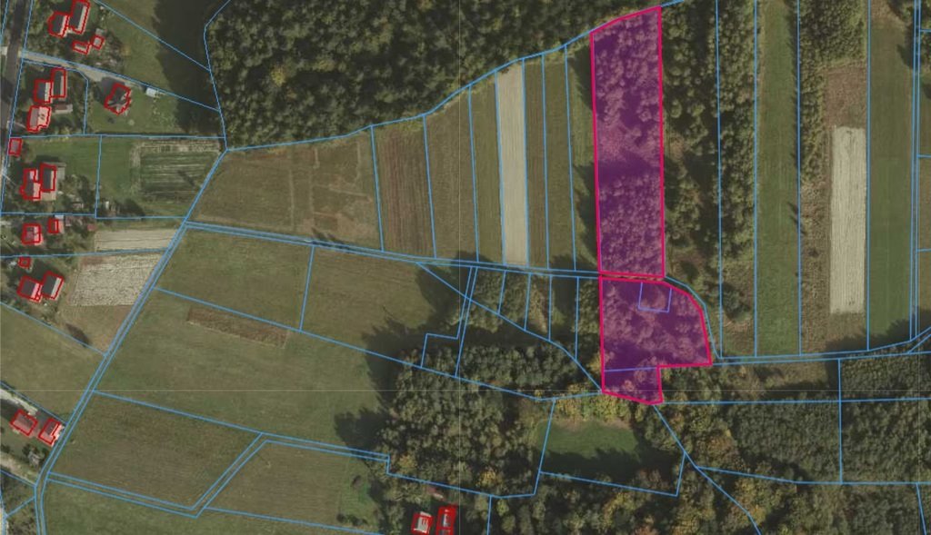 Działka 0,93 ha z lasem i energią, spokojna okolica Wesoła  9 300m2 Foto 1