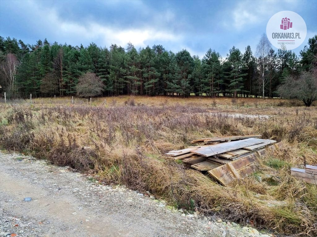 Działka rolna na sprzedaż Gągławki, Gągławki  3 002m2 Foto 4