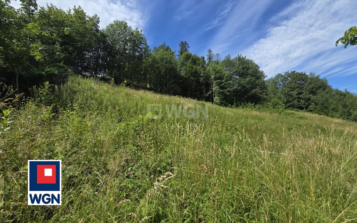 Działka budowlana na sprzedaż Ustroń, Cisownica  888m2 Foto 4