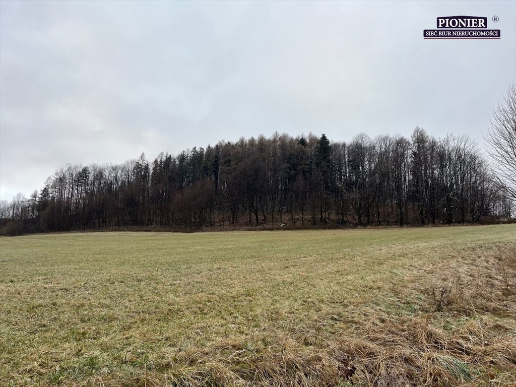 Działka budowlana na sprzedaż Ustroń  3 000m2 Foto 2