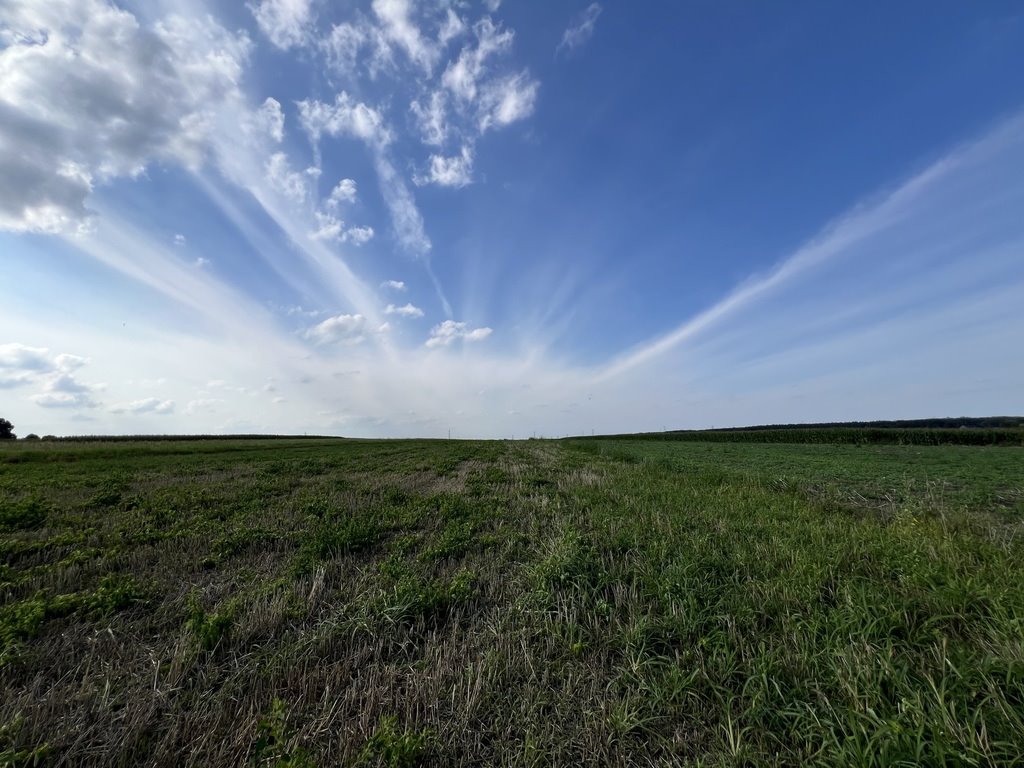 Działki rolne na sprzedaż w Opolu – 8 166 m2 inwestycja Opole  8 166m2 Foto 1