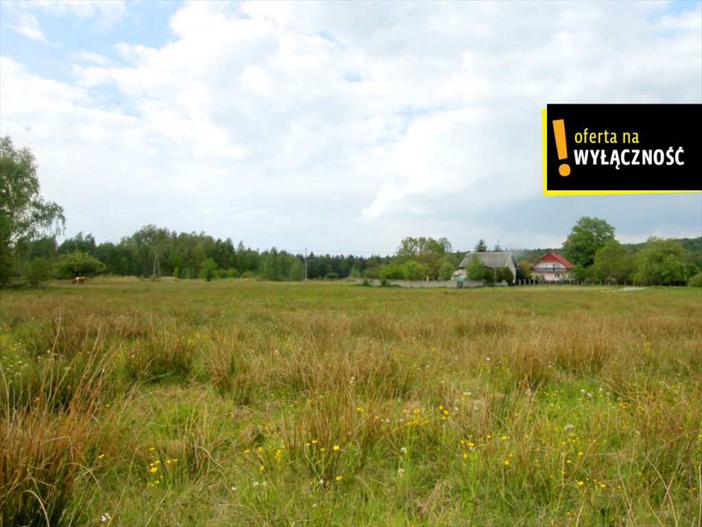 Działki w Lechowie z warunkami zabudowy i mediami w drodze Lechów  1 460m2 Foto 1